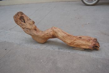 稀世臻品崖柏聞達天下(組圖)_網易新聞中心