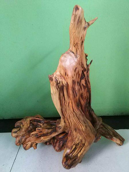 崖柏根藝家馬敬科作品欣賞_手機網