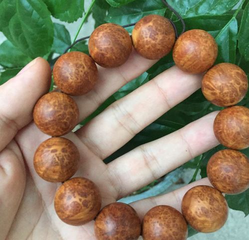 有一種狂熱的收藏叫 崖柏陳化料螞蟻腿瘤疤