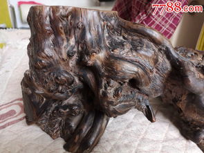 精品山水崖柏根擺件