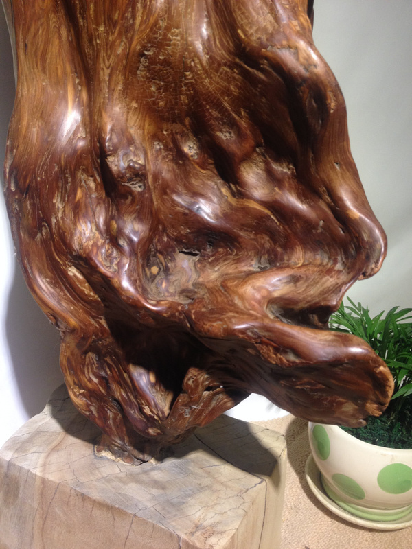 文玩崖柏的保養與把玩指南 以太行崖柏為例