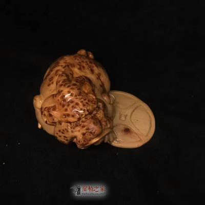 正宗崖柏太行老料 滿瘤貔貅把件欣賞