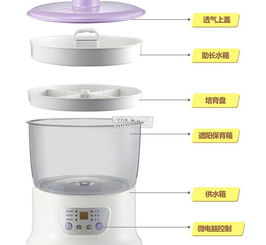 北京小熊DYJ-S6108豆芽機(jī)批發(fā)代理廠家、產(chǎn)品信息與技術(shù)開發(fā)全解析
