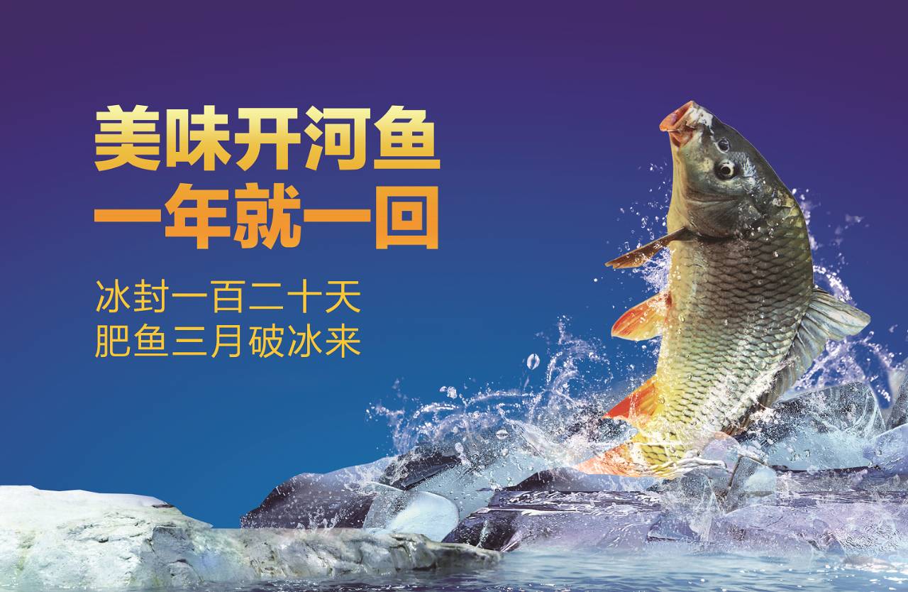 【北京福利】西貝開河魚,一年就等這一鮮!